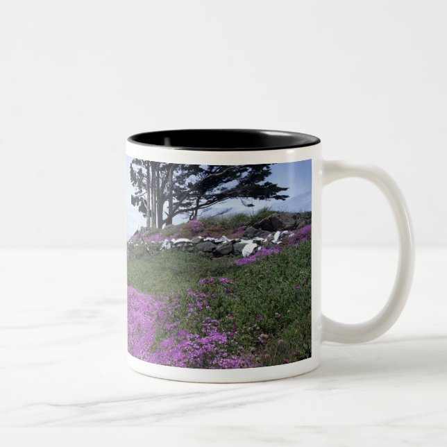 Tasse 2 Couleurs CA, Crescent City, phare de Battery Point avec (Droit)