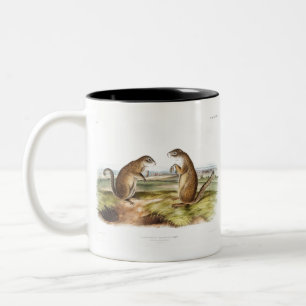 Tasse 2 Couleurs Cadeaux de camping de Marmot Squirrel de Franklin