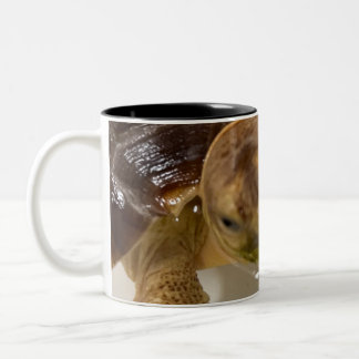 Tasse 2 Couleurs Café
