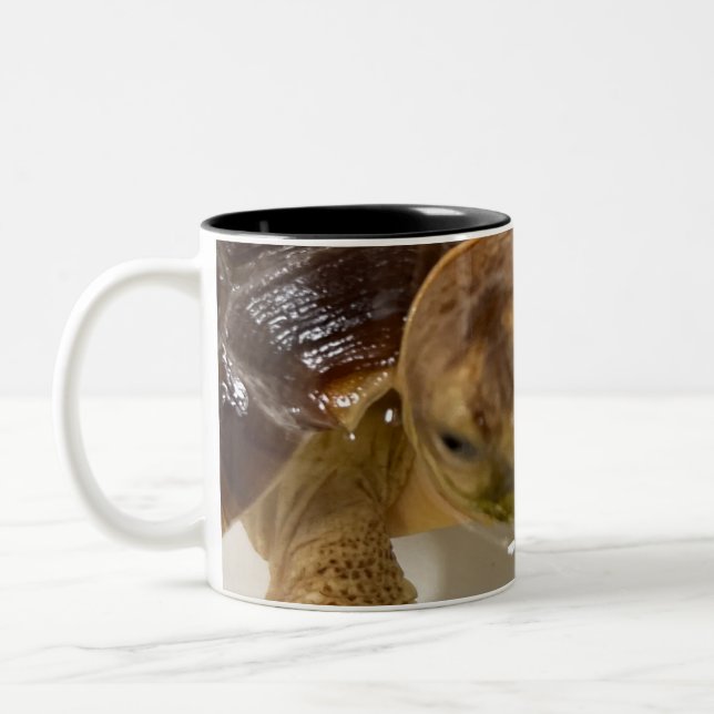 Tasse 2 Couleurs Café (Gauche)