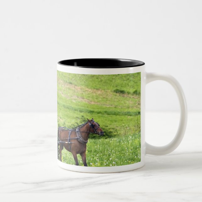 Tasse 2 Couleurs Caleship Amish près de Berlin, Ohio. (Droit)