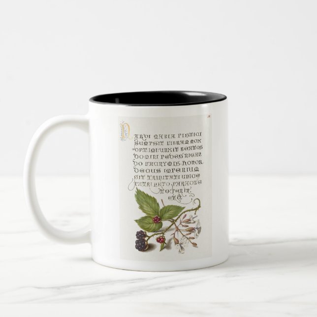 Tasse 2 Couleurs Calligraphie de Blackberry et Nottingham Catchfly (Gauche)