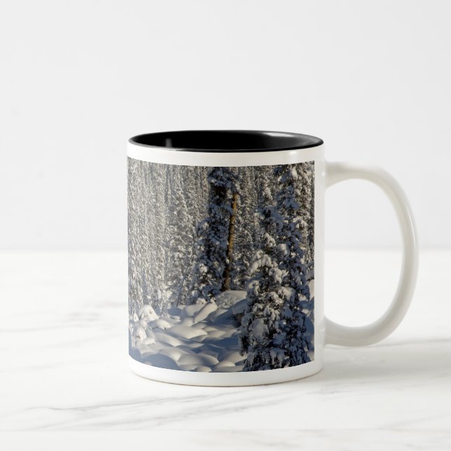 Tasse 2 Couleurs Canada, Alberta, parc national de Jasper. (Droit)