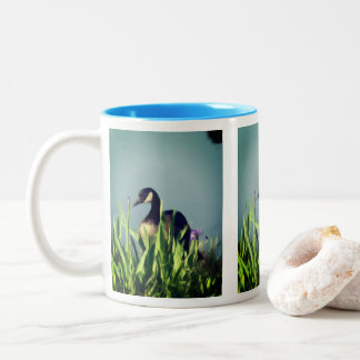 Tasse 2 Couleurs Canada Goose Irises 1 Nature Art