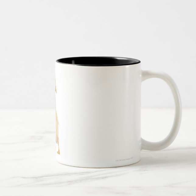 Tasse 2 Couleurs Caneton (1 semaine de vieux) (Droit)