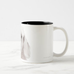 Tasse 2 Couleurs Caniche (de 1 an)