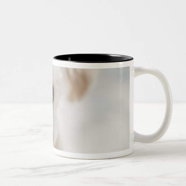 Tasse 2 Couleurs caniche de jouet (Droit)