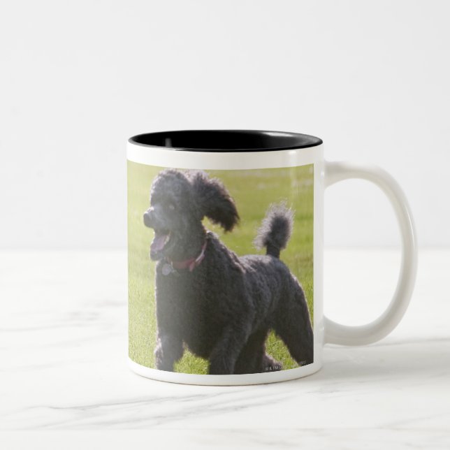 Tasse 2 Couleurs Caniche jouant le frisbee (Droit)