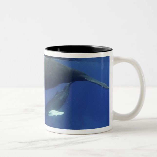 Tasse 2 Couleurs Caraïbes, archipel des Grandes Antilles, (Droit)