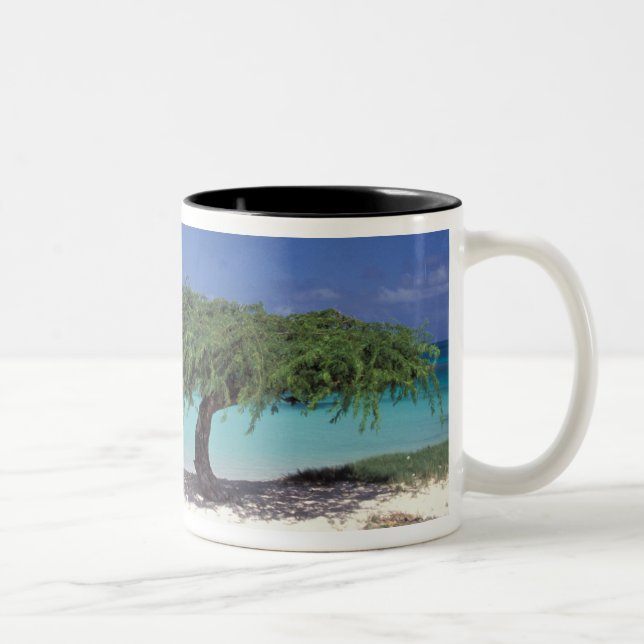 Tasse 2 Couleurs Caraïbes, Aruba. Plage Eagle (Droit)