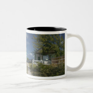 Tasse 2 Couleurs Caraïbes, TURKS & CAICOS, Grand Turk Island, 3