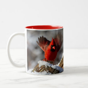 Tasse 2 Couleurs Cardinal rouge dans la neige