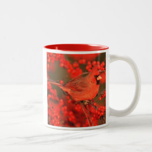 Tasse 2 Couleurs Cardinal rouge du Nord mâle, IL