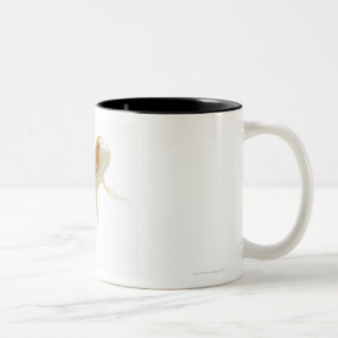 Tasse 2 Couleurs Carpe (Cyprinus carpio)