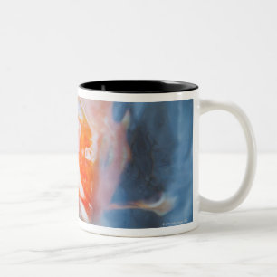 Tasse 2 Couleurs Carpe de Koi (Cyprinus carpio), Japon