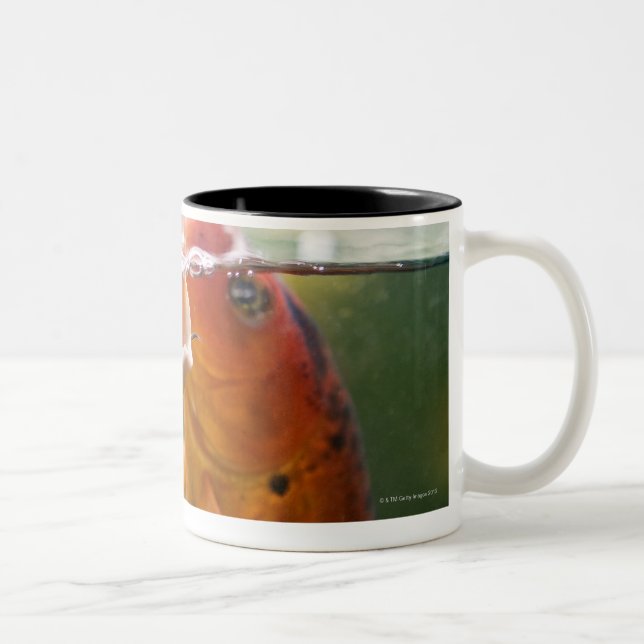 Tasse 2 Couleurs Carpes de Koi (Droit)