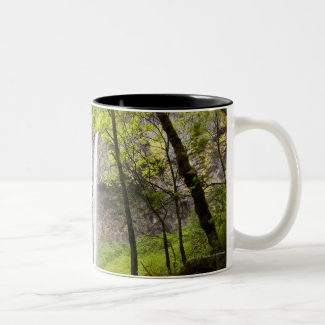 Tasse 2 Couleurs Cascade brouillée autour de verdure luxuriante en (Droit)