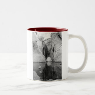 Tasse 2 Couleurs Cascade de canyon de Tahquitz, Palm Springs la