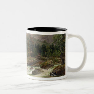 Tasse 2 Couleurs Cascade norvégienne, 1840