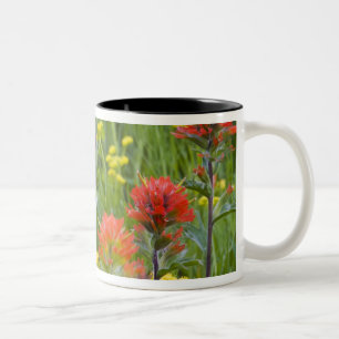 Tasse 2 Couleurs Castilleja et biscuitroot fleurs sauvages