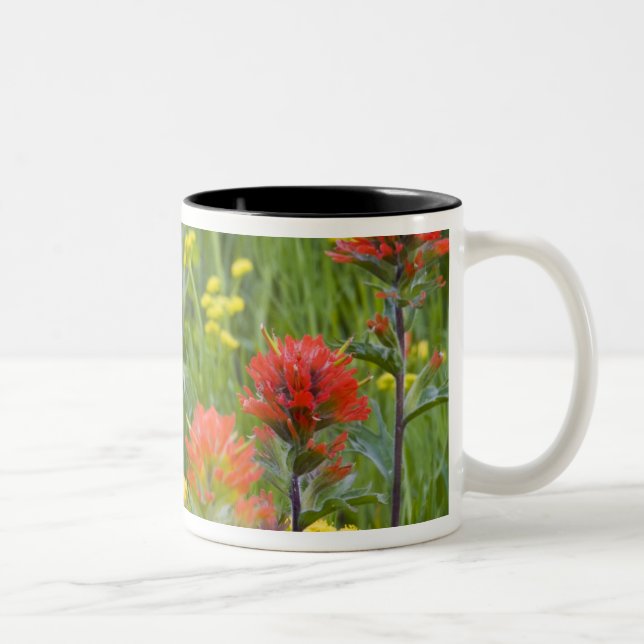 Tasse 2 Couleurs Castilleja et biscuitroot fleurs sauvages (Droit)