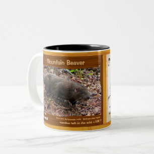Tasse 2 Couleurs Castor de montagne, un rongeur mis en danger, ses