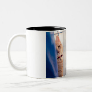 Tasse 2 Couleurs Cat