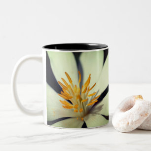 Tasse 2 Couleurs Centre Fleur Bloodroot Personnalisé