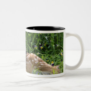 Tasse 2 Couleurs cerfs communs Blanc-coupés la queue (virginianus