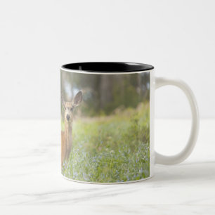 Tasse 2 Couleurs Cerfs communs de mule (hemionus d'Odocoileus) dans
