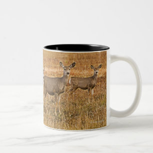 Tasse 2 Couleurs Cerfs communs de mule (hemionus d'Odocoileus) un