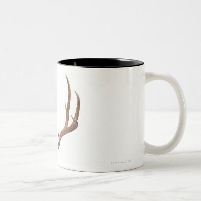Tasse 2 Couleurs Cerfs communs en dix points (Droit)