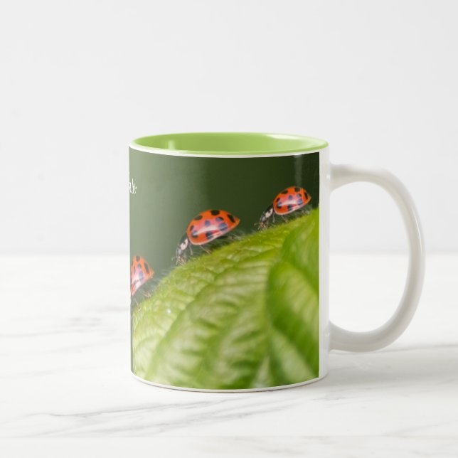 Tasse 2 Couleurs Ces petits coccinelles donnent un jour de chance ! (Droit)