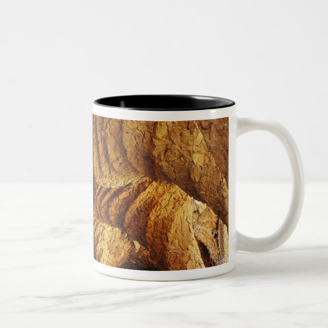 Tasse 2 Couleurs Chambre forte intérieure (pierre) (Droit)