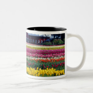 Tasse 2 Couleurs Champ de tulipes