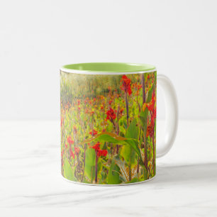 TASSE 2 COULEURS CHAMP DES FLEURS DE CANNA ROUGE (PHOTOG)