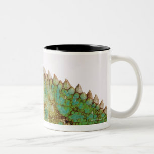 Tasse 2 Couleurs Changement de peau de caméléon