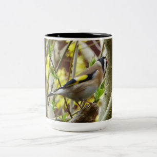 Tasse 2 Couleurs Chardonneret timide