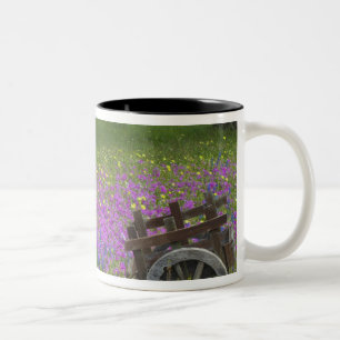 Tasse 2 Couleurs Chariot en bois dans un champ de Phlox, Bonnets bl