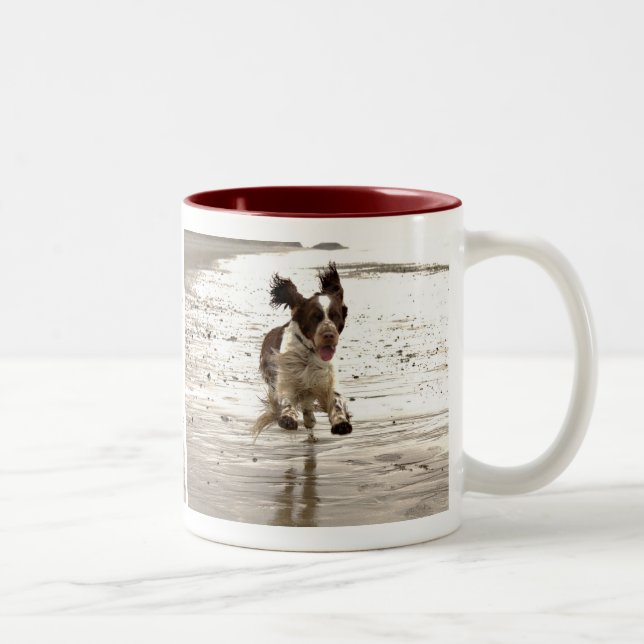 Tasse 2 Couleurs Charlie Springer (Droit)