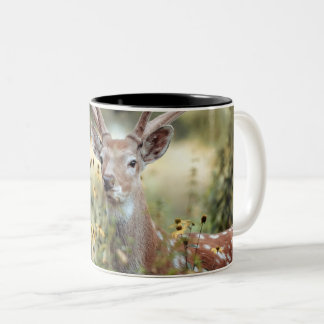 Tasse 2 Couleurs Chasse au cerf de Whitetail Buck