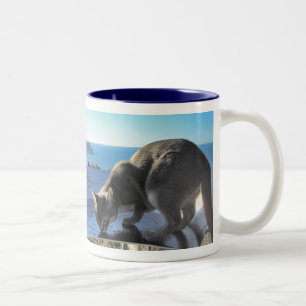 Tasse 2 Couleurs Chat abyssinien au bord de la mer