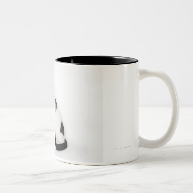 Tasse 2 Couleurs Chat blanc avec les taches noires (Droit)