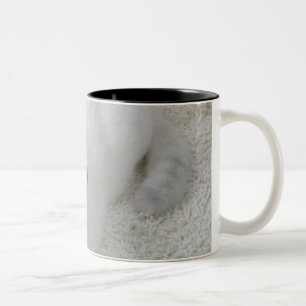 Tasse 2 Couleurs Chat blanc recherchant
