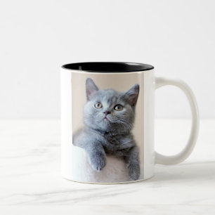 Tasse 2 Couleurs Chat britannique gris de Shorthair