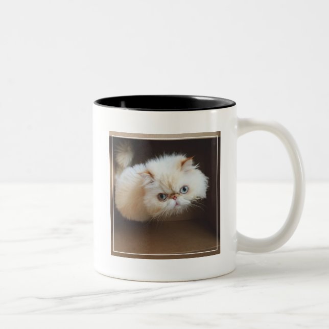 Tasse 2 Couleurs Chat dans une boîte (Droit)