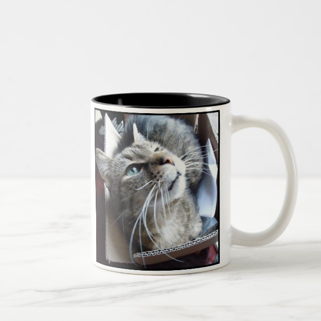 Tasse 2 Couleurs Chat de la boîte o (Droit)