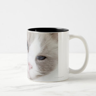 Tasse 2 Couleurs Chat de Ragdoll