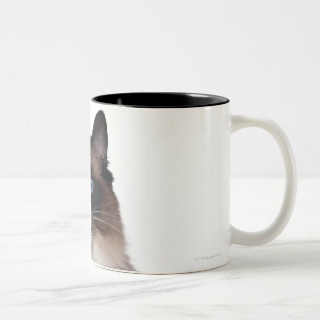 Tasse 2 Couleurs Chat de Ragdoll (Droit)