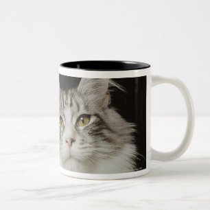 Tasse 2 Couleurs Chat de ragondin adulte du Maine